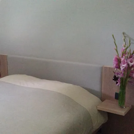 Garni Hotel Plava Laguna Cuprija Room photo
